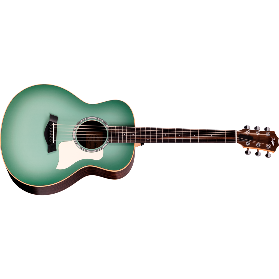 Taylor-GS Mini e Special